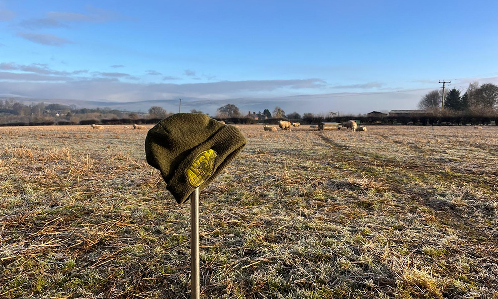 A green beanie rests on a metal rod in a frosty field. In the background, sheep graze under a clear blue sky near distant trees and hills.