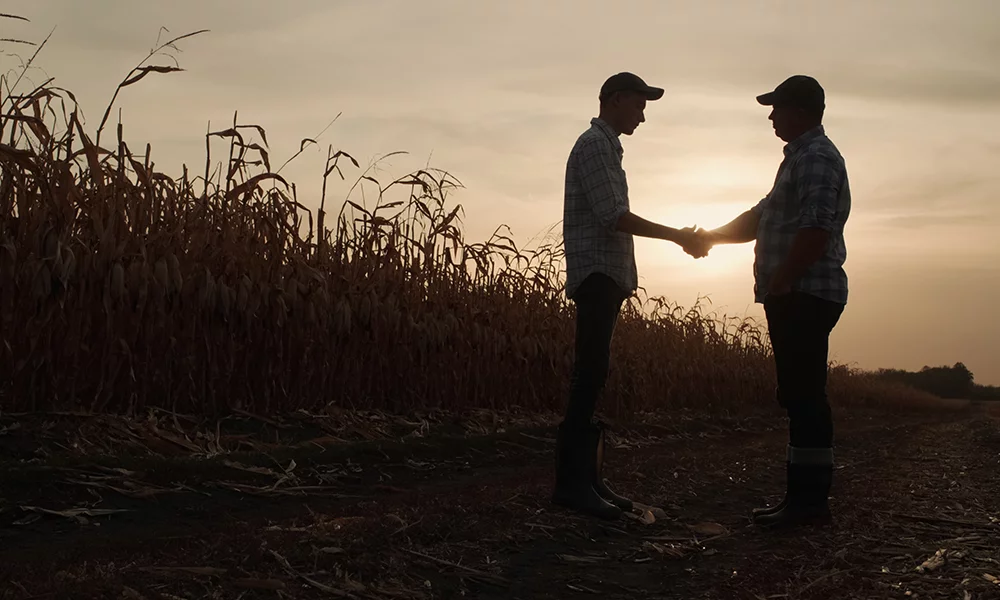 A red tractor spreads fertilizer on an expansive, freshly plowed field under a clear blue sky, with the sun casting a warm glow from the horizon.